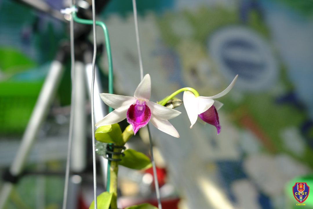 Eo biển Bab el-Mandeb - “quân bài” của Iran trong cuộc chiến với Mỹ-Israel